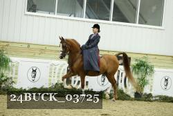24BUCK_03725 proof