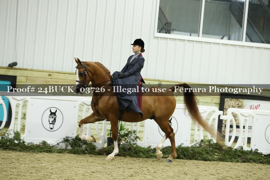 Proof 24BUCK_03726