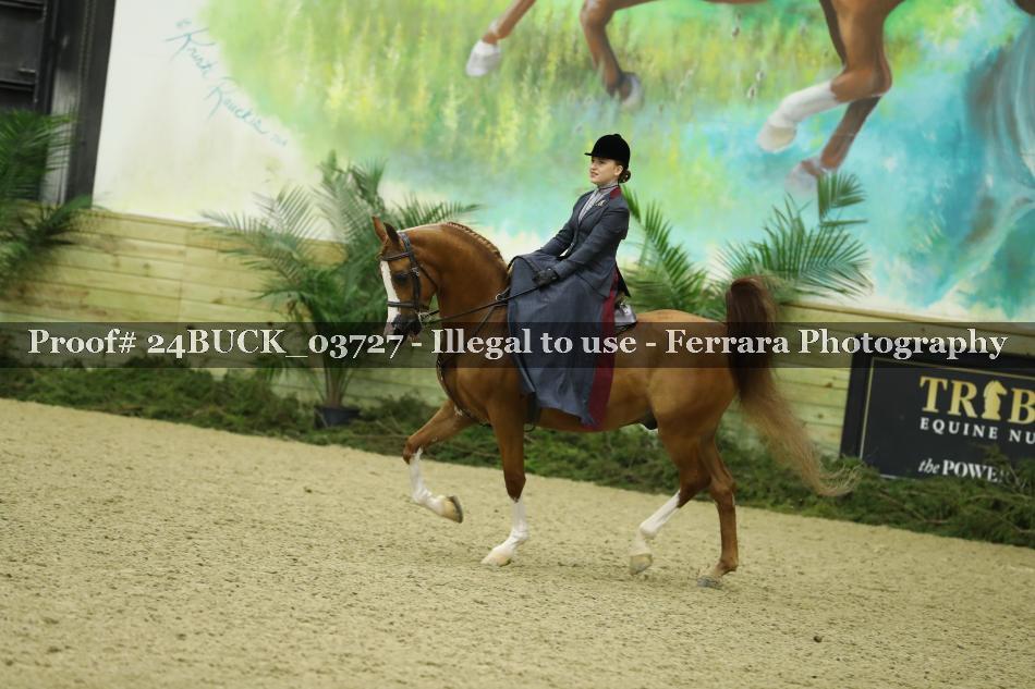 Proof 24BUCK_03727
