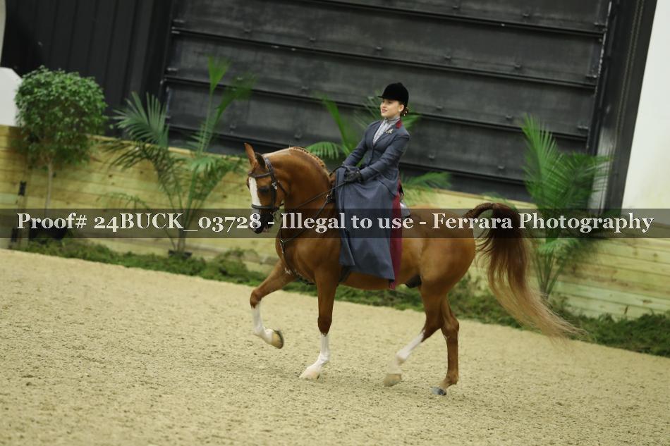 Proof 24BUCK_03728