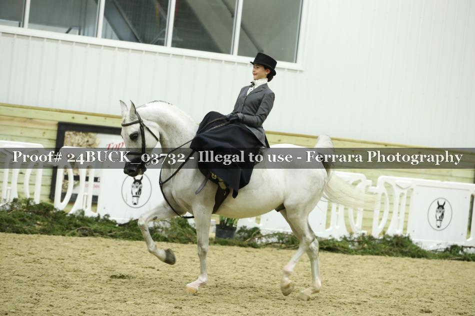 Proof 24BUCK_03732