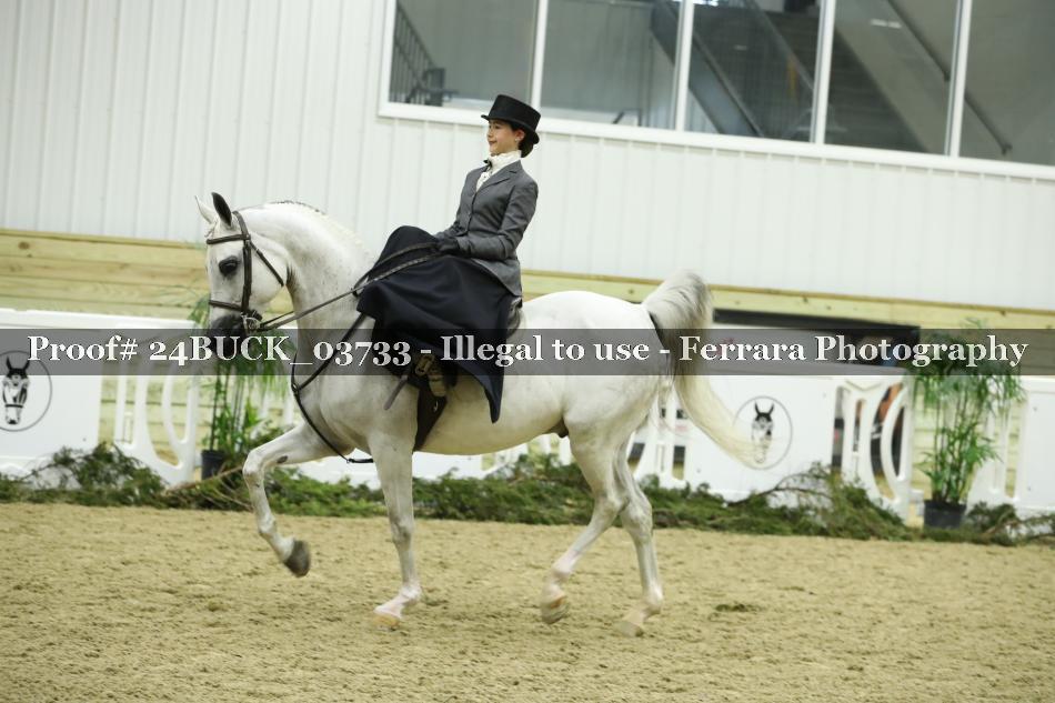 Proof 24BUCK_03733