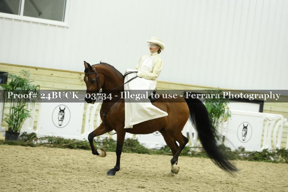 Proof 24BUCK_03734