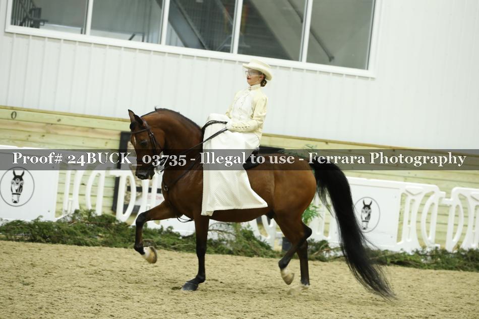 Proof 24BUCK_03735