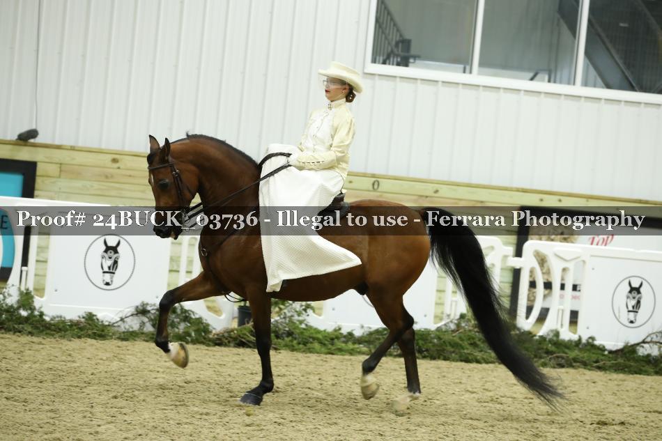 Proof 24BUCK_03736