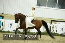 24BUCK_03736 proof