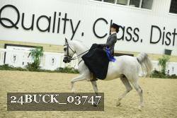 24BUCK_03747 proof