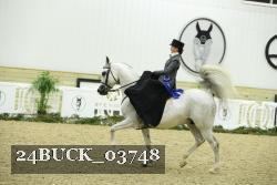 24BUCK_03748 proof