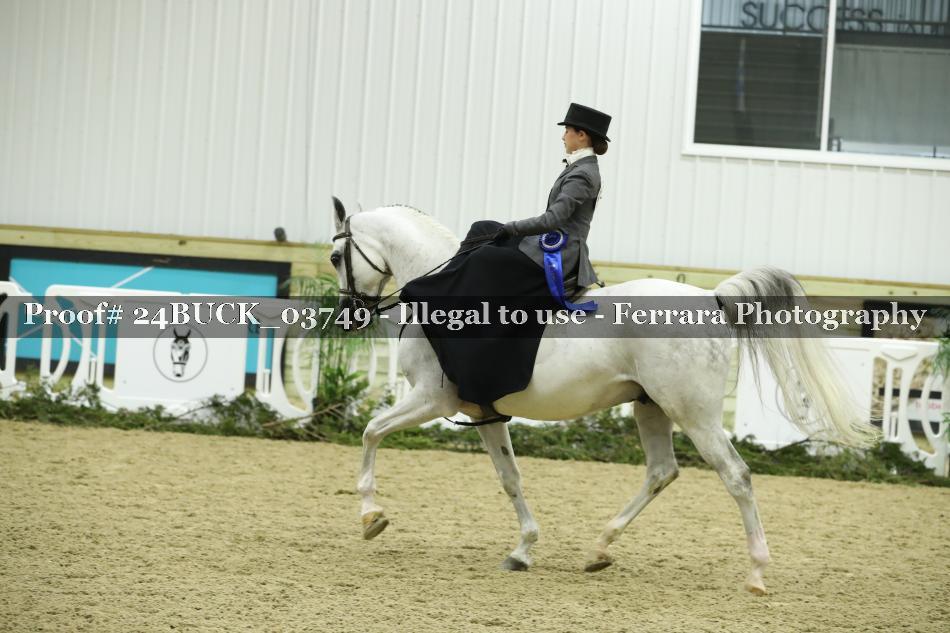 Proof 24BUCK_03749