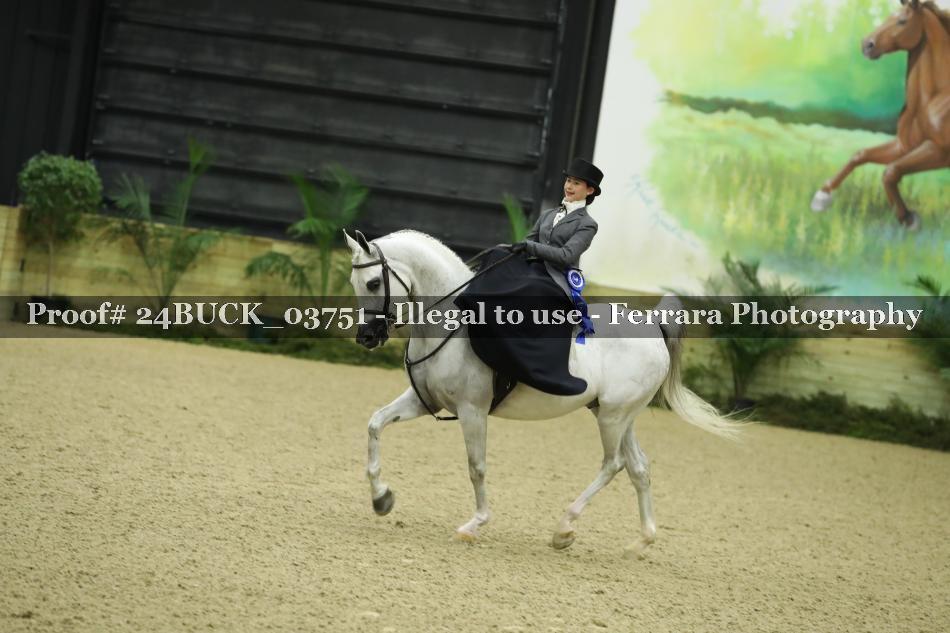 Proof 24BUCK_03751
