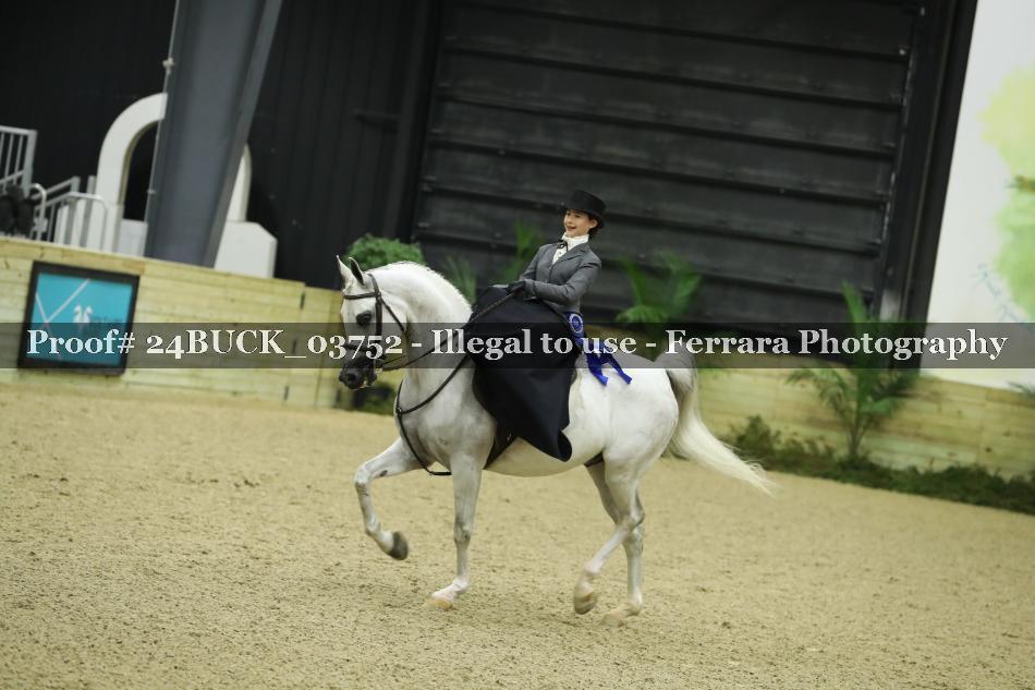 Proof 24BUCK_03752