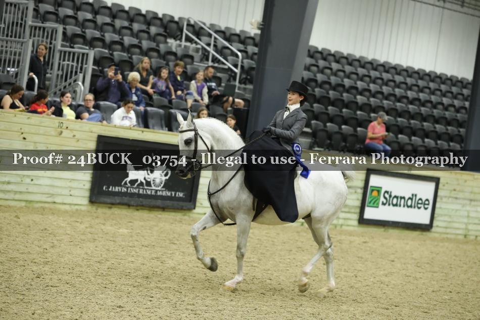 Proof 24BUCK_03754