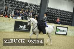 24BUCK_03754 proof