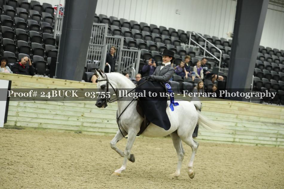 Proof 24BUCK_03755