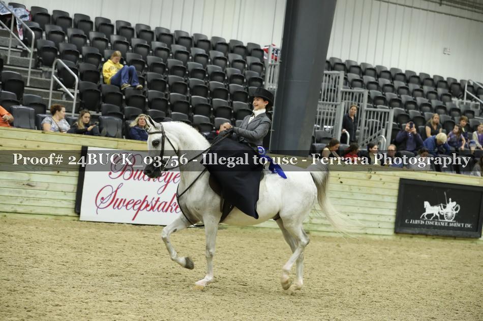 Proof 24BUCK_03756