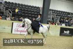 24BUCK_03756 proof