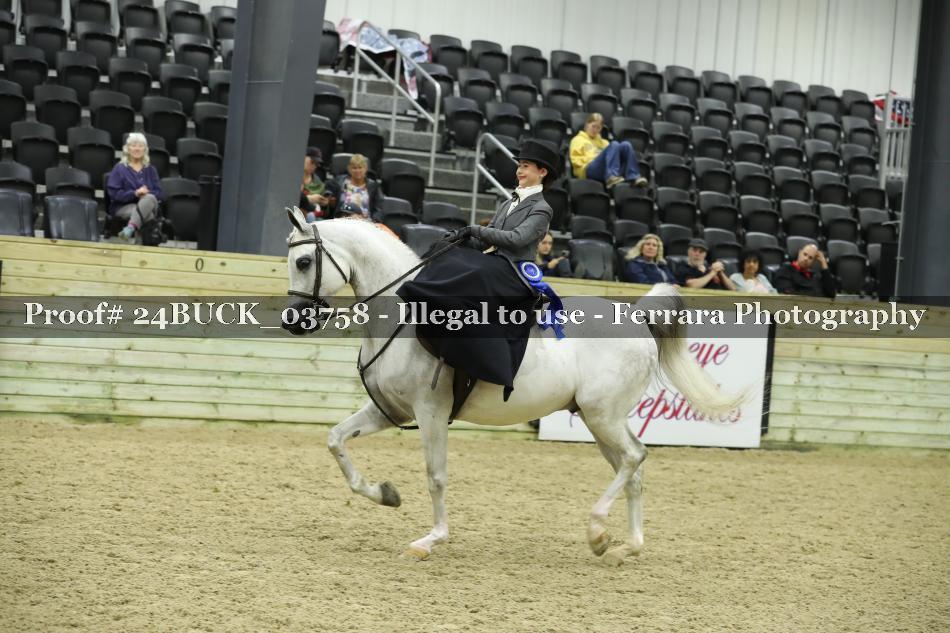 Proof 24BUCK_03758