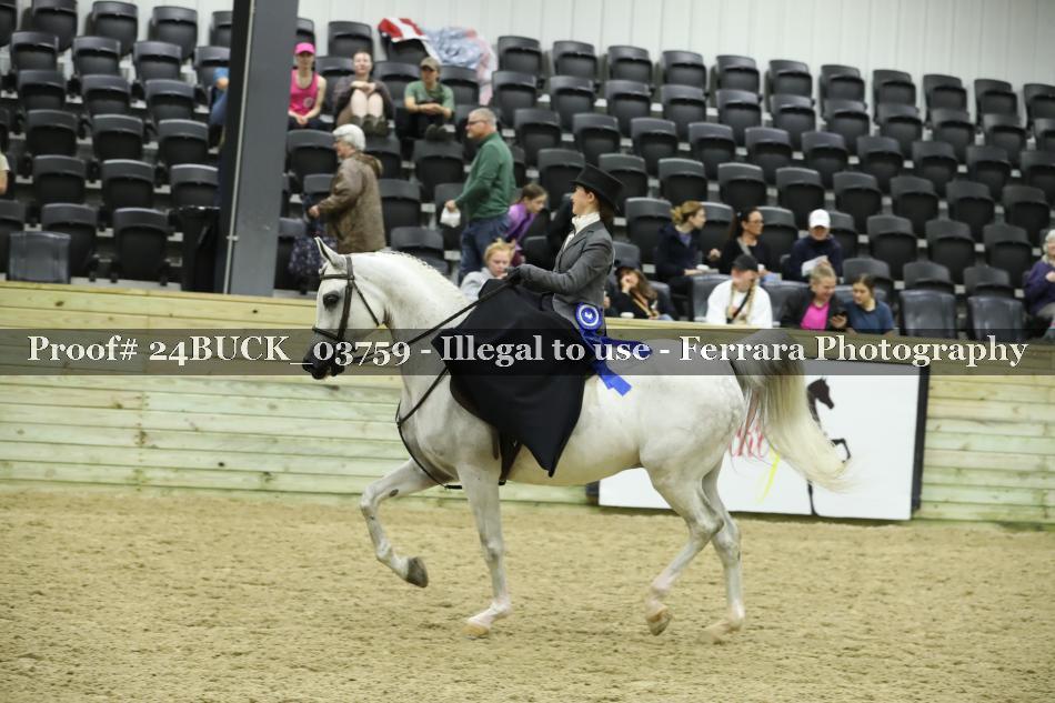 Proof 24BUCK_03759
