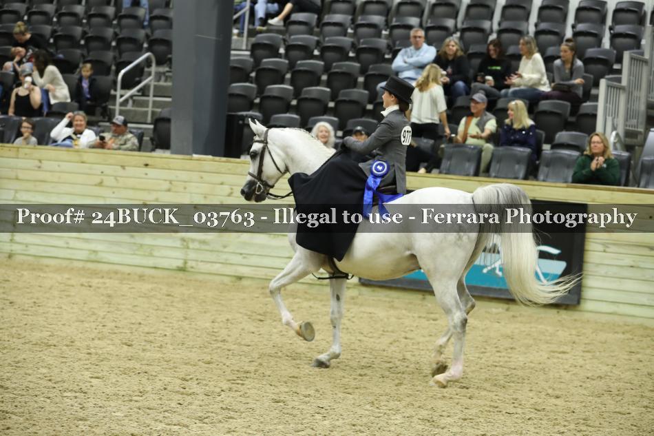 Proof 24BUCK_03763