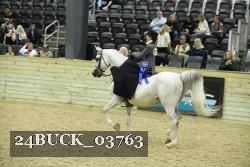 24BUCK_03763 proof