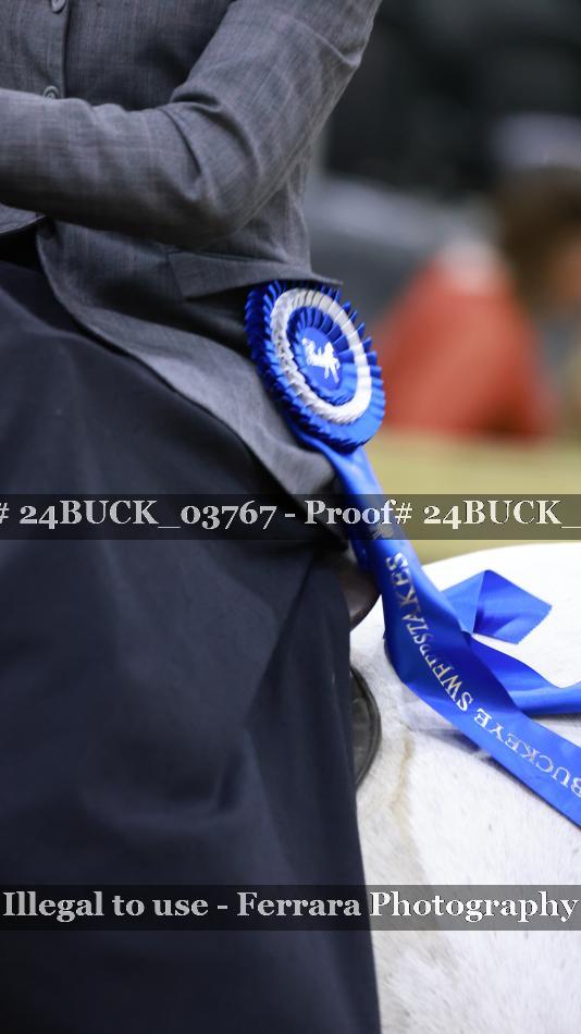 Proof 24BUCK_03767