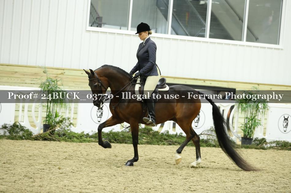 Proof 24BUCK_03770