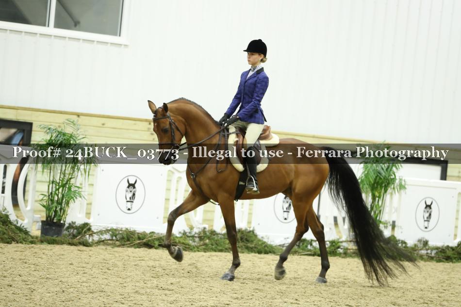 Proof 24BUCK_03773