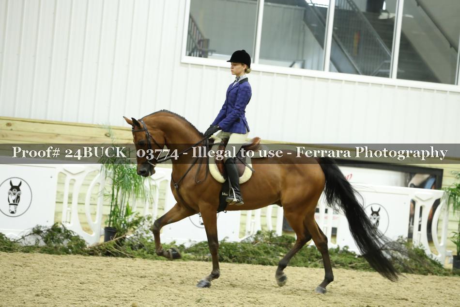 Proof 24BUCK_03774