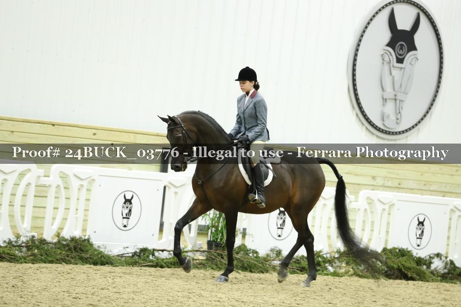 Proof 24BUCK_03776