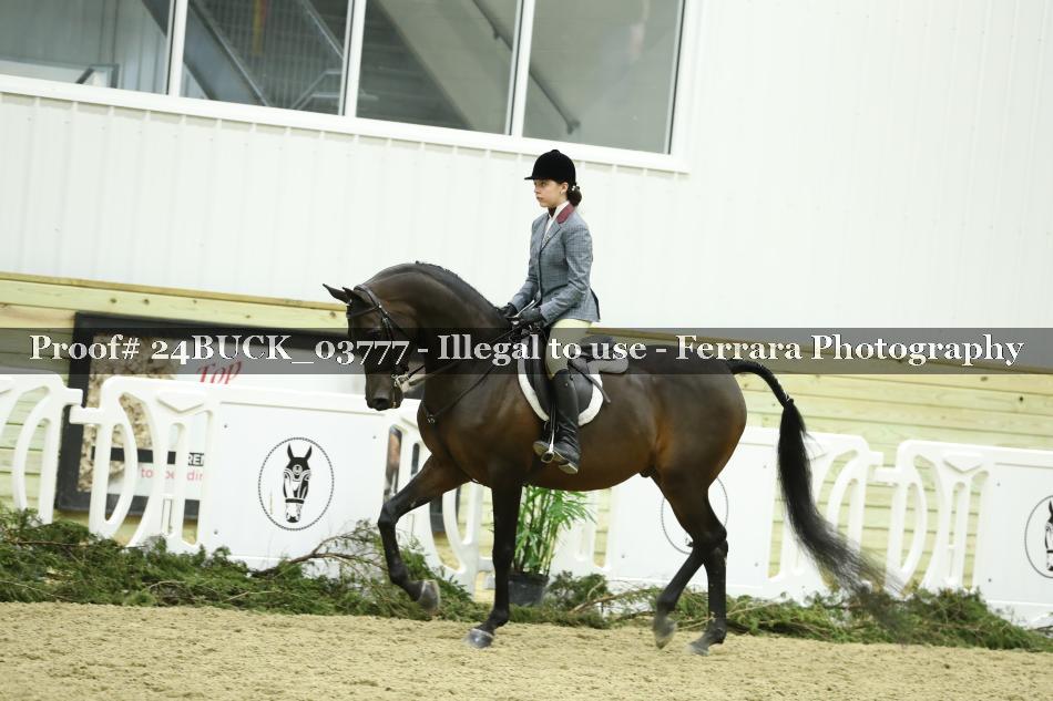Proof 24BUCK_03777