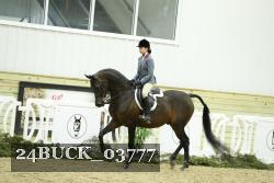 24BUCK_03777 proof