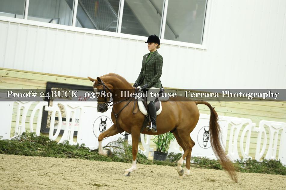 Proof 24BUCK_03780