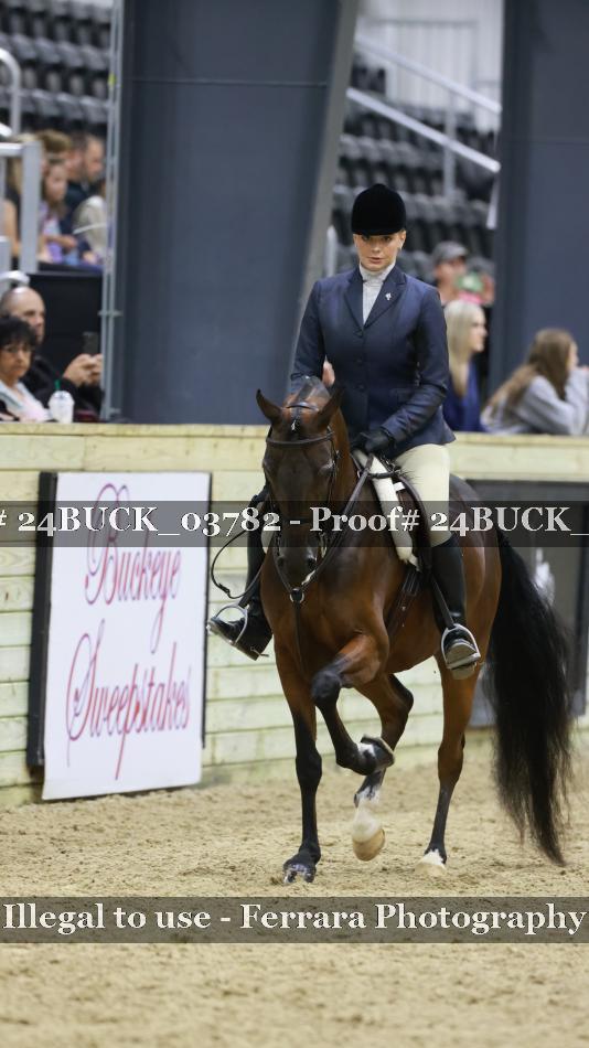 Proof 24BUCK_03782