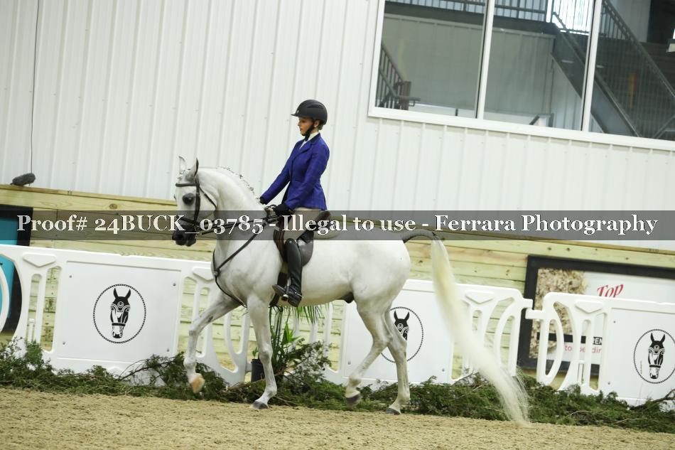 Proof 24BUCK_03785