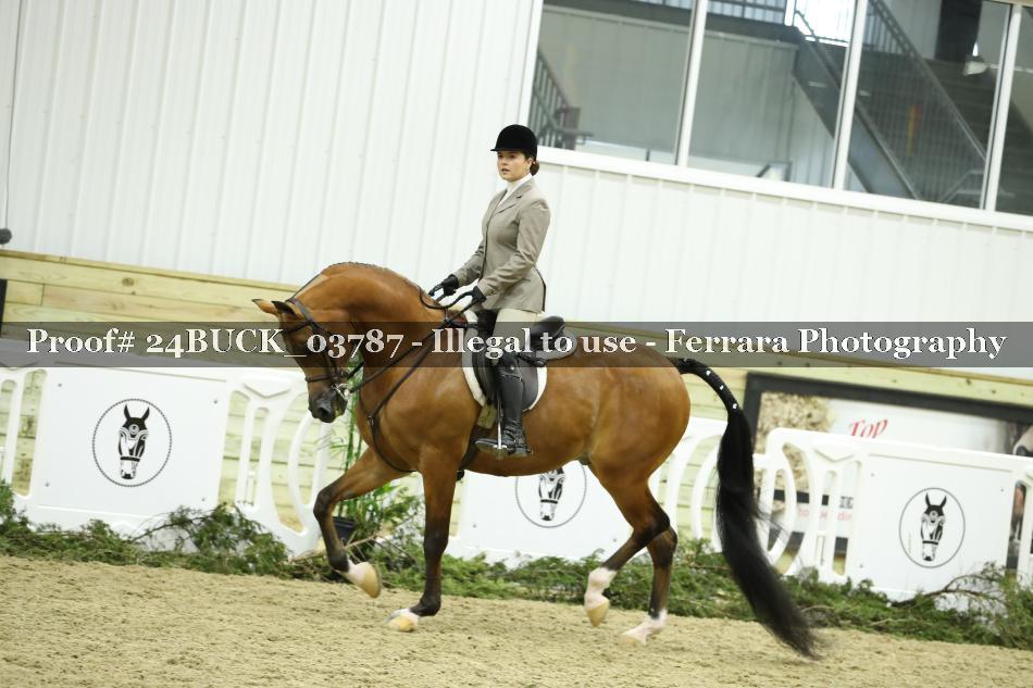 Proof 24BUCK_03787