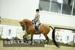 24BUCK_03787 proof