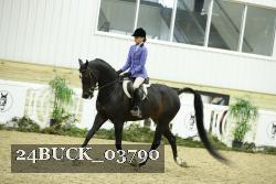 24BUCK_03790 proof