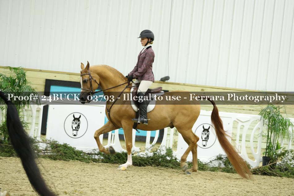 Proof 24BUCK_03793