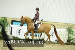 24BUCK_03793 proof