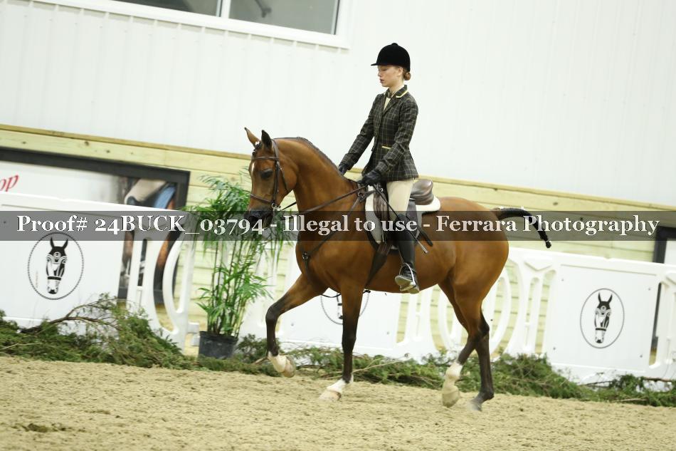 Proof 24BUCK_03794