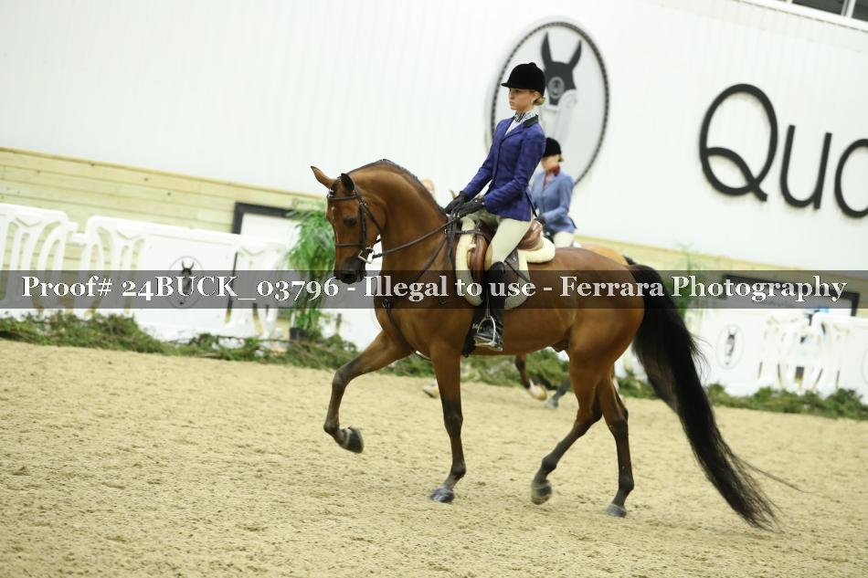 Proof 24BUCK_03796