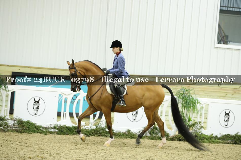 Proof 24BUCK_03798