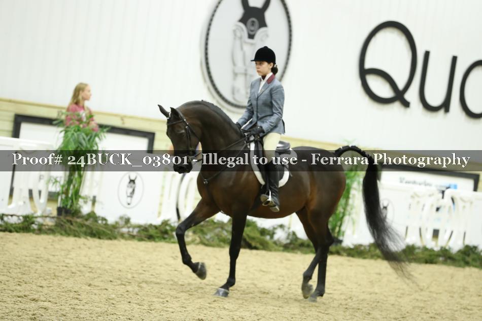 Proof 24BUCK_03801
