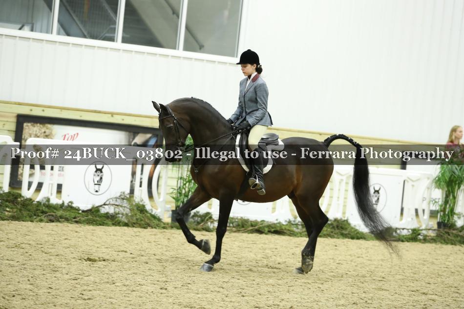Proof 24BUCK_03802