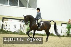 24BUCK_03802 proof