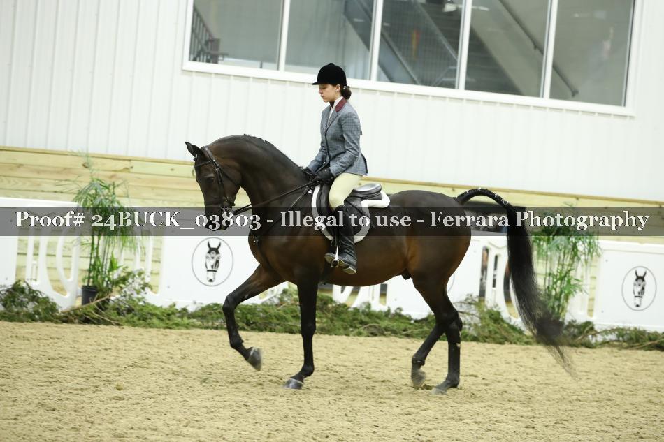 Proof 24BUCK_03803