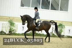 24BUCK_03803 proof