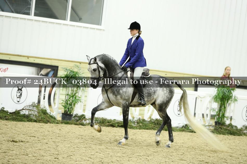 Proof 24BUCK_03804