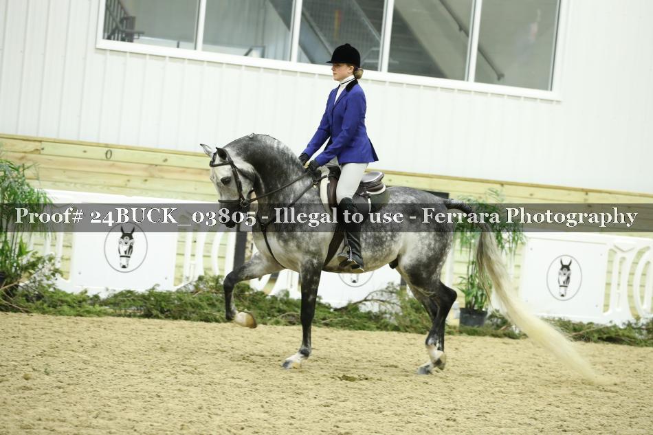 Proof 24BUCK_03805