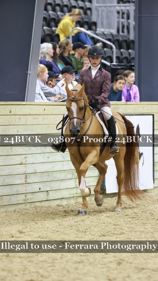 Proof 24BUCK_03807